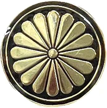 51oyIi9a5DL._AC_SY350_QL65_.jpg