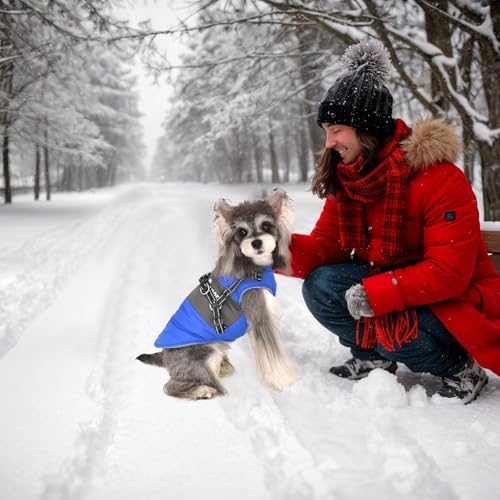 Lairle Hundejacke Winter, atmungsaktiv & wasserdicht - Hundegeschirr mit Reflektorstreifen - Warme Hundekleidung für kleine und mittelgroße Hunde & Welpen