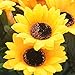 Velener Artificial Silk Sunflower with Rattan Vase Daisy Arrangement, 6 Bunches, 42 Flowers & Stems, Sunflower Bouquet, Handmade Willow, Fake Flowers in Vase for Home Decor, Fall Autumn Decoration