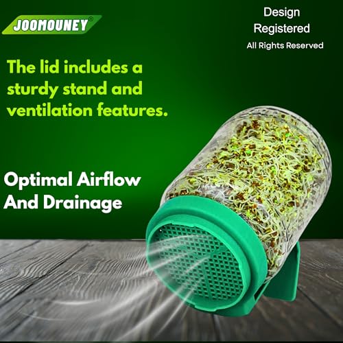 Image of JOOMOUNEY Sprouts Making Glass Jar with Seeds, Sprouter with Mesh Lid | Reusable Sprout Maker Jar for Beans Grains & Seeds | Odor-Free Easy Drainage Hygienic BPA-Free(GREEN PACK OF ONE)