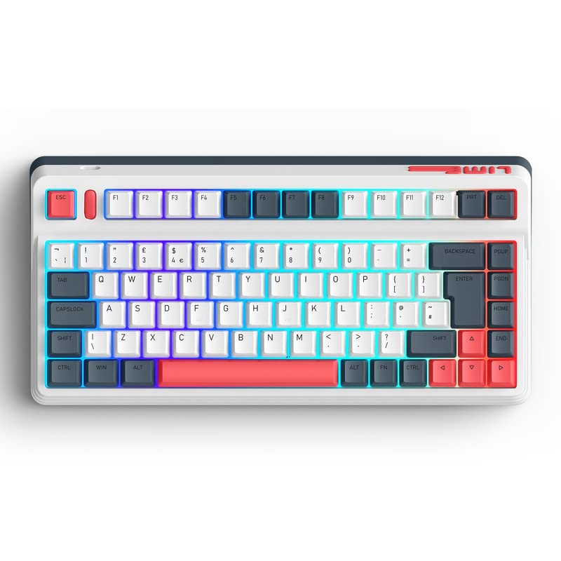 Buy IQUNIX L80 FORMULA Mechanical Keyboard(UK LAYOUT), TKL Wireless 2