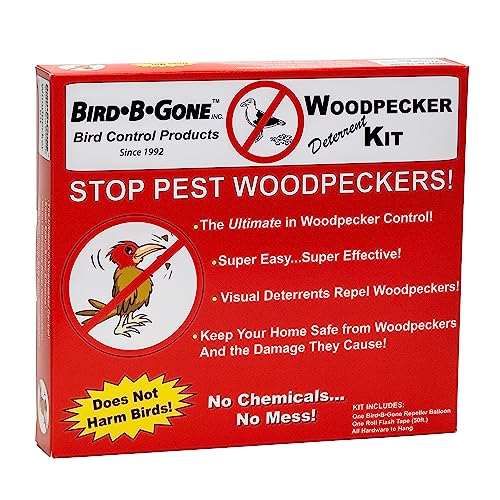 How to Get Rid of Woodpeckers Control & Prevention Guide