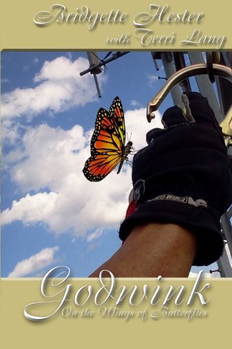 Godwink: On The Wings Of Butterflies