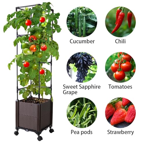 Antmoilios Raised Garden Bed with Tomato Cage & Trellis, 56" Self-Watering Tomato Planter Box for Vegetables Flowers | Lockable Wheels, Vertical Gardening | Indoor Outdoor Patio Use, Easy Assembly - Image 3