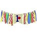 Ecore Fun First Birthday Party Decoration Supply Burlap High Chair Banner Bunting for Baby Boy - Elmo Theme