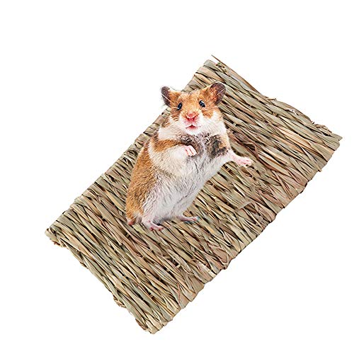 inherited 2 stuks 28 x 20 cm kleine dieren grasmat, grasmat gras, natuurlijk handgeweven grasmat veilig en eetbaar voor… - Image 4