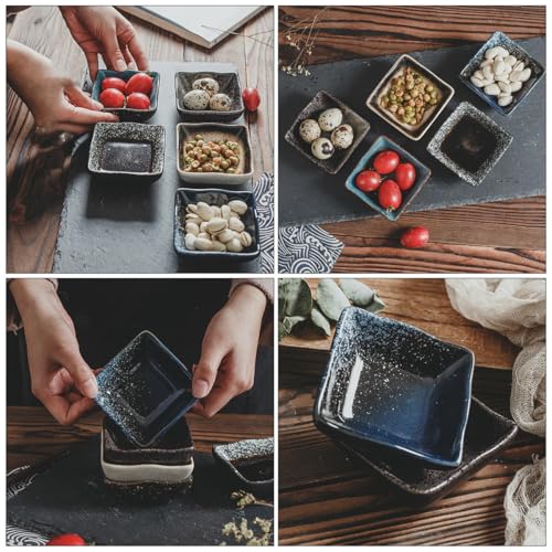 Set de 5 platos japoneses de cerámica para sushi y snacks miniatura 3
