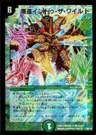 Amazon.co.jp: デュエルマスターズ P8-Y8-R 爆進イントゥ・ザ