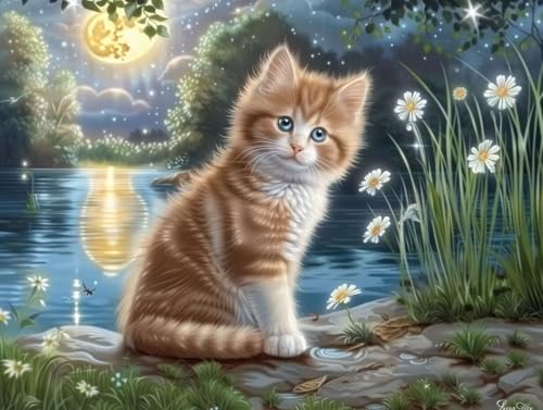 Broderie diamant chat 5D DIY - Idée cadeaux loisirs créatifs adulte et enfant 60x80cm