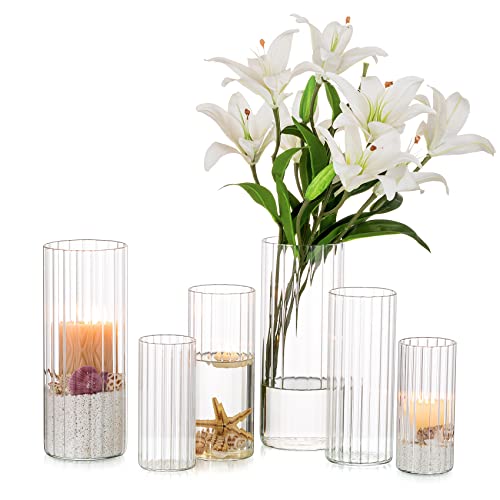 Nuptio Glasvase für Blumen Zylinder: 6 Stück Klare Blumenvasen für...