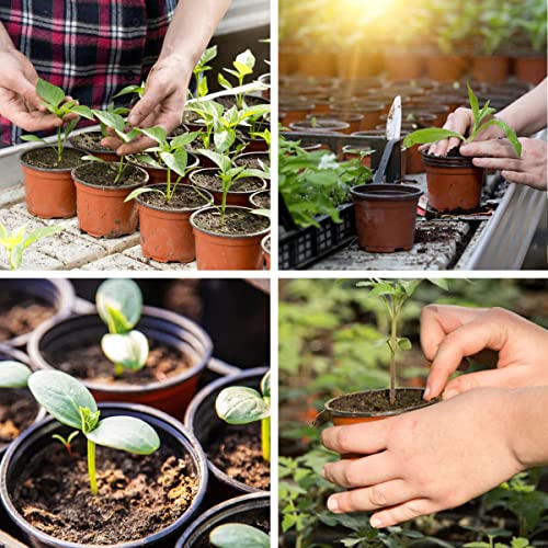 Abimars 50 PCS Plantes en Plastique/Pots de Fleurs 10 CM Plateau de Semences Pépinière Pépinière Pots et 50 PCS Plantes Tags & Marqueur Stylo pour Jardinier