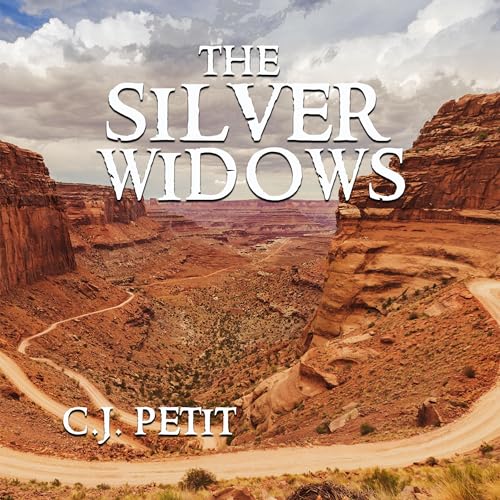 Page de couverture de The Silver Widows