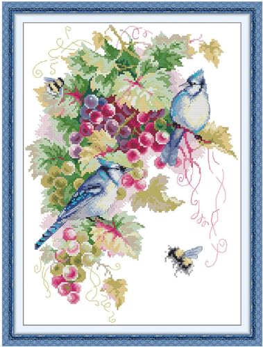 Image of Aiorkeng Cross Stitch Kits Stamped Full Range of Embroidery Starter Kits for Adults Beginners DIY Needlepoint Kit 11CT 3 Strands -Printed kit Blue Jays and Grapes(Printed) 16.1x21.7 inches