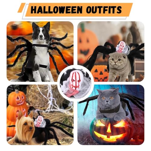 Halloween Kostüm für Katzen und kleine bis mittelgroße Hunde, Schwarz, Größe L, Filz, Einzigartiges Spinnen-Design Hundekostüm Spinne,Plüsch,mit formbaren Beinen, leicht und bequem