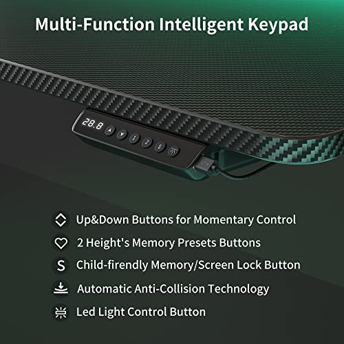 Fezibo 48 × 26 Inch Electric Standing Desk With Monitor Stand, Height Adjustable Table With Led Strips, Ergonomic Home Office Furniture With 2 Drawers Storage Gaming Workstation, Black Carbon Fiber #TOP3