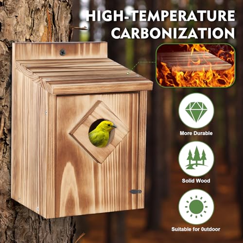 Gtongoko-Bird-Houses-for-Outside-Clearance-1-35-Entrance-Hole-Wood-Blue-Birdhouses-for-Outdoors-with-Air-Vents-Easy-to-Clean-Carbonized-Wooden-Nesting-Box-for-Cardinals-Swallows-Finches-Chickadee Gtongoko Bird Houses for Outside Clearance 1 35 Entrance Hole Wood Blue Birdhouses for Outdoors with Air Vents Easy to Clean Carbonized Wooden Nesting Box for Cardinals Swallows Finches Chickadee