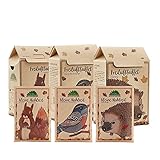 Die Stadtgärtner – Geschenkset Tierfutter I Mit Freiluftbuffet + kleine Mahlzeit für Vögel, Igel & Eichhörnchen I Futterstationen mit 200g artgerechter Tiernahrung & je eine kleine Mahlzeit