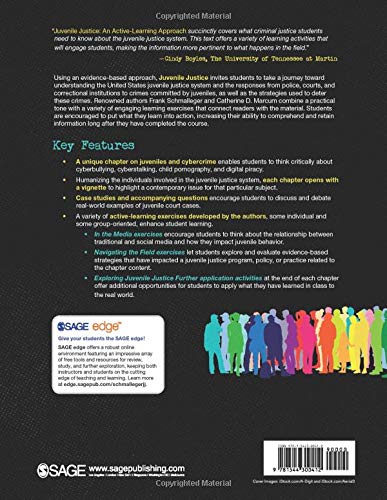 Juvenile Justice: An Active-Learning Approach - Thumbnail 2