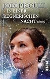 In einer regnerischen Nacht: Roman - Jodi Picoult