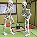 Oauxy Realistic Skull Skeleton Human Model, 3.54 Inches Movable Skeleton Human Model Skull Full Body Mini Figure Toy for Halloween Decorations Gifts