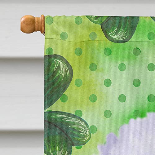 Bichon Frise drapeau Saint Patrick résistant aux UV et intempéries BB9822CHF - 4