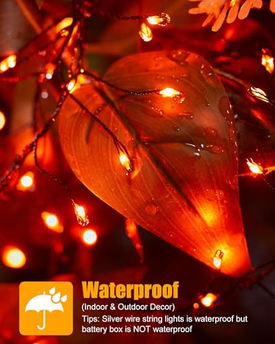 Image of Minetom Fairy Lights Battery Operated, Twinkle String Lights 5ft 60LED