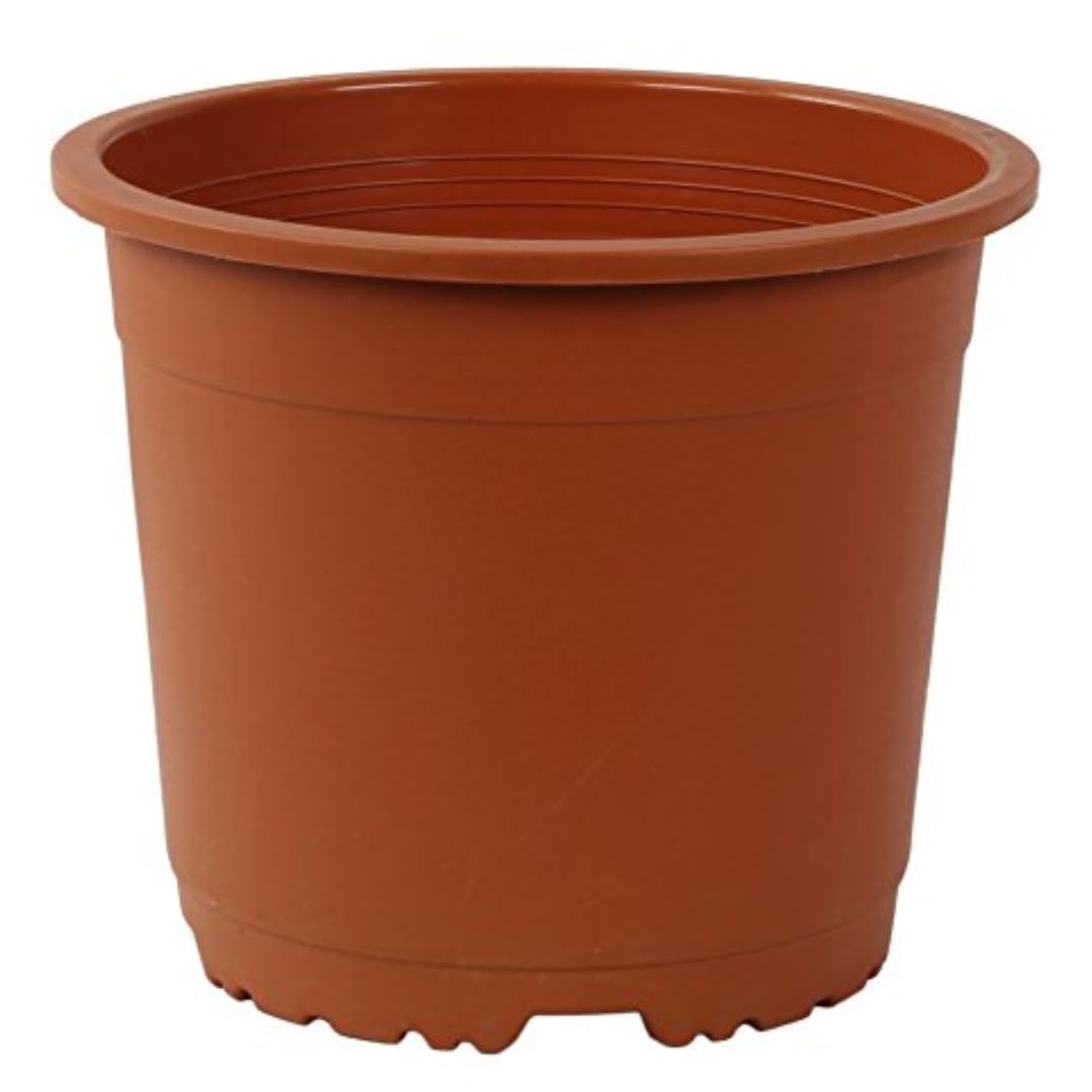 CAPPLs 4 Inch Teracotta Nursery Pot (Pack of 12) (Sunrise 11 cm) (B01CGEA2DC) Amazon Price History, Amazon Price Tracker