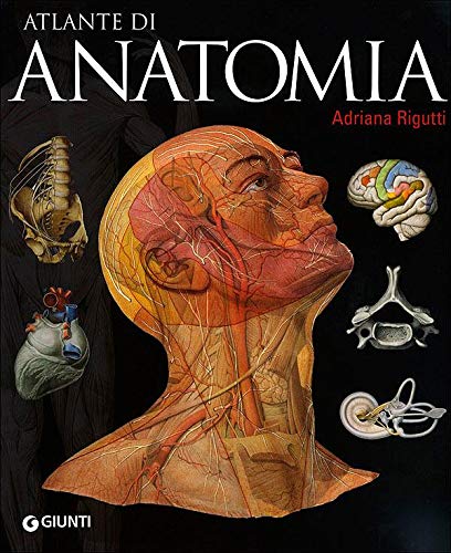 Atlante Di Anatomia