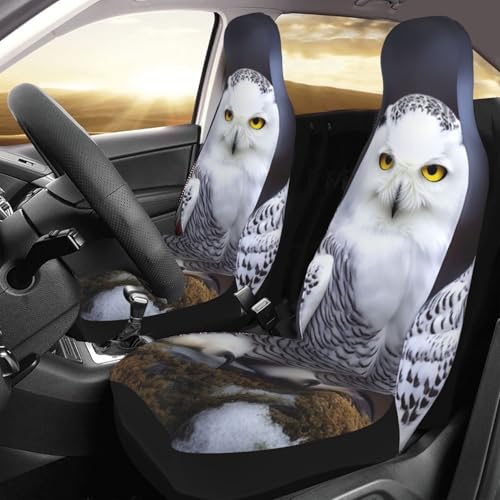 Housse de siège voiture Arctic Owl : finis les sièges tachés grâce à ce lot de 2