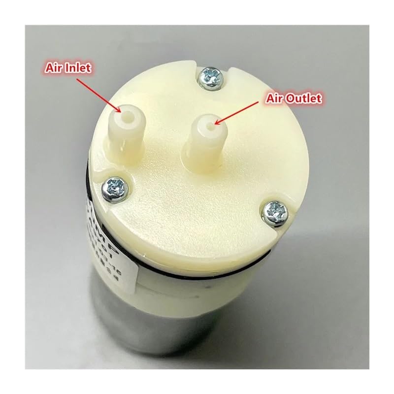 5023)川口軌外 色紙 水彩画 「柘榴」 額装