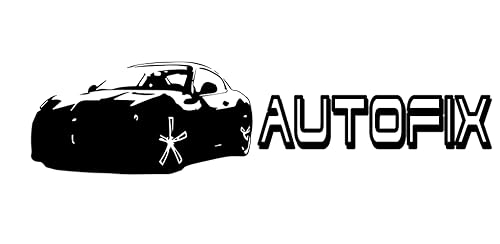 autoFix