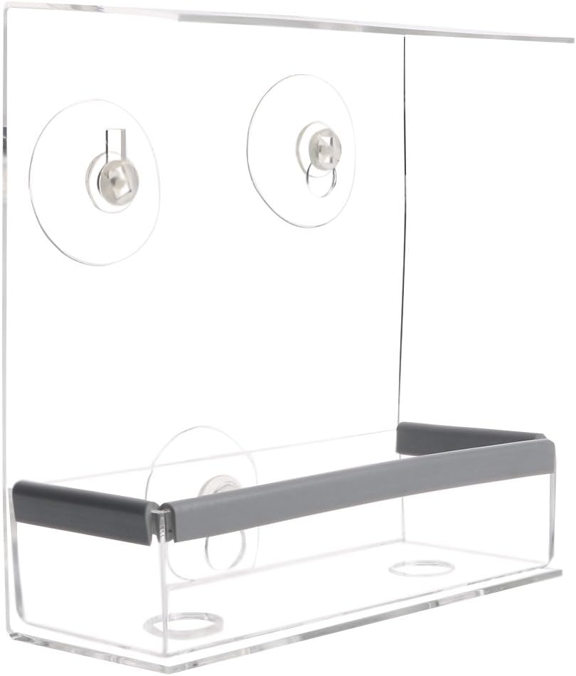 mangiatoia per uccelli con scoiattoli