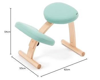 バランスラボ バランスイージー バランスチェア 姿勢矯正チェア ライトグリーン Amazon.co.jp: バランスラボ バランスイージー 通常フレーム