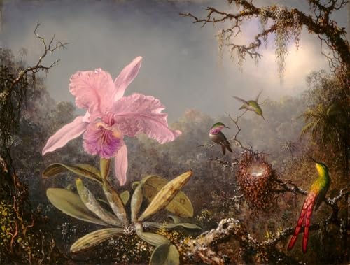 Peinture murale nordique orchidée Cattleya en impression sur toile haut de gamme 60x90cm