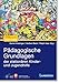 Pädagogische Grundlagen der stationären Kinder- und Jugendhilfe (Beiträge zur Erziehungshilfe) Jugendhilfe in günstig Kaufen-Pädagogische Grundlagen der stationären Kinder- und Jugendhilfe (Beiträge zur Erziehungshilfe)