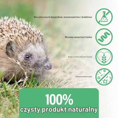 Mączniaki suszone, 1 kg, 6,5 l, naturalna karma dla dzikich ptaków przez cały rok, karma dla ryb, staw, wysoka zawartość białka, kwasy tłuszczowe Omega-3, neutralny zapach, niska zawartość