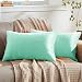 Yimidon Federe Confezione da 2 in Velluto Copricuscini Decorativi, Federa Cuscini Copriguanciali, Cuscino Copricuscini Decorativo per Divano Camera da Letto Casa - Light Blue, 30 x 50 cm