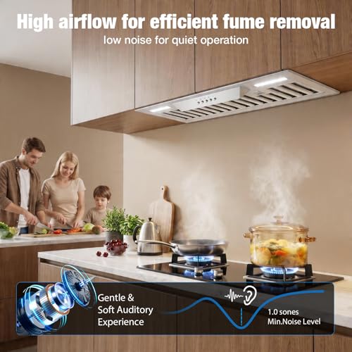 Image of Range Hood Insert 30 Inch, Built-in 900 CFM Kitchen Hood | Stainless Steel Vent Hood, Ducted /Ductless Convertible, 40 Elevated Screen & Square LED Lights