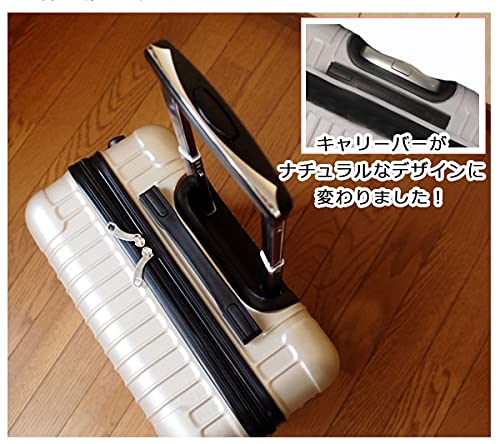 Carry-on Suitcase [DJ002] Ultra-Lightweight 16-inch Four-Wheel ABS Carry case (Black) (Champagne)4
