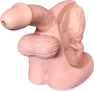 Organ Model Catheterization Demonstration Model, Urethral Catheterization, Manikin Teaching Model, Male Internal And External Reproductive Organ Model Reproductive System Structure Teaching Teaching A