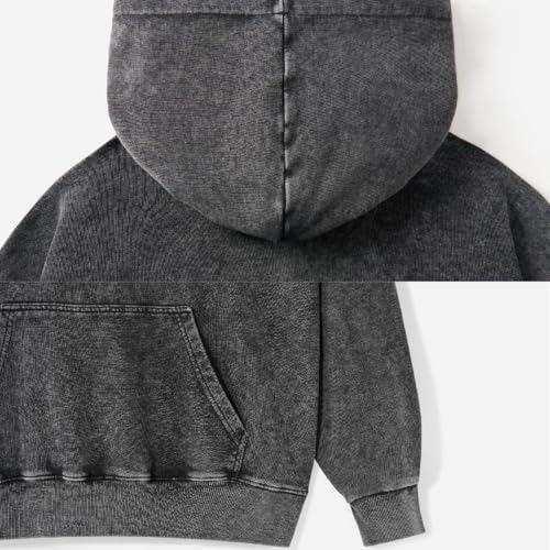 Graphic Hoodies for Men Women Unisex Washed Hoodie Oversized Sweatshirt Live for Jesus4