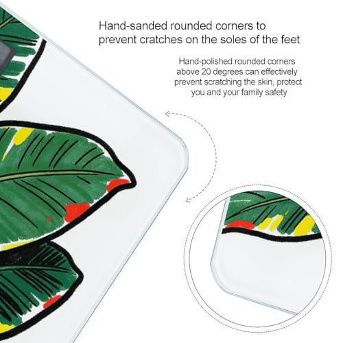 Báscula digital de baño Tropical Leaf con pantalla LCD miniatura 4