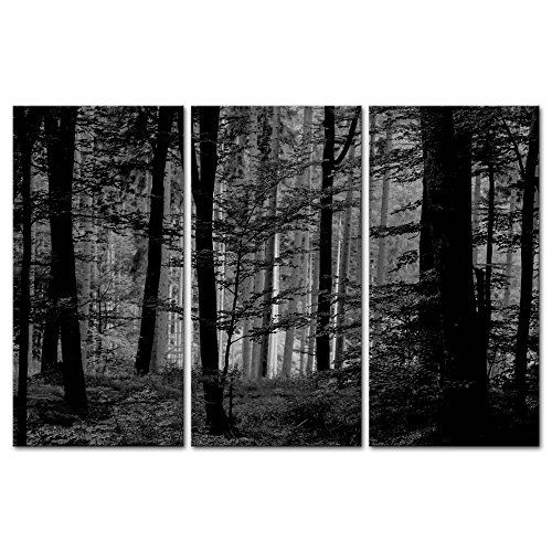 So Crazy Art- Black And White Wall Art Decor Lush Wood Forest Canvas Pictures Artwork 3 Panel Nature Landscape Painting Prints For Home Living Dining Room Kitchen #TOP14