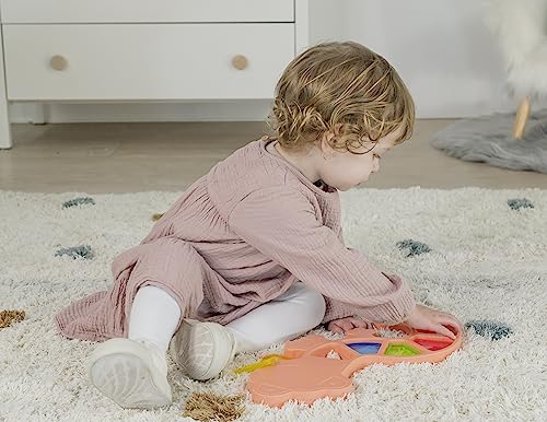 Image of Miniland Feel to Learn Translucent Colorful Lizard for Children from 1 to 2 Years. 10 Translucent Pieces to be Fitted and Experiment The Mixture of Colors. Made in Spain with ECO Material