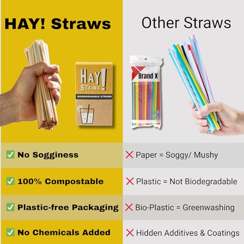 Pitillos biodegradables compostables 8 pulg por 250 unidades miniatura 6
