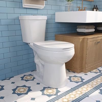 DeerValley Two-Piece Toilet, ADA Chair Height Toilets Bowl With Soft Close Seat for Elderly, 17.3" High 12” Rough in Dual Flush 1.1/1.6 GPF and Map 1000g, White DV-2F0079