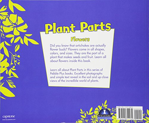 Flowers (Plant Parts) #TOP1