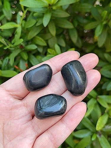 Image of GAF TREASURES 1 /2 LB Black Tourmaline Tumbled Stones, Polished Natural Black Tourmaline Gemstone, Black Tourmaline Healing Crystals (Black Tourmaline)
