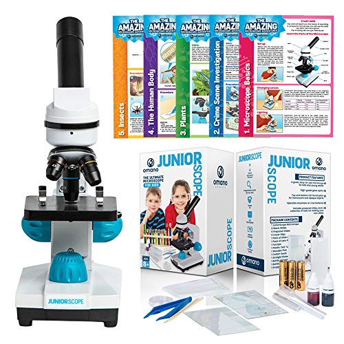 Best Microscopes For 10 Year Old 10Reviewz