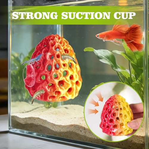 Image of Shrimp Dome Hide, Shrimp Hides for Aquarium, Betta Fish Hideout with Suction Cup, Betta Habitat Tank Ornament Accessories, Aquarium Decor for Small Fish Guppy Hiding Resting (Lid Gold Red)